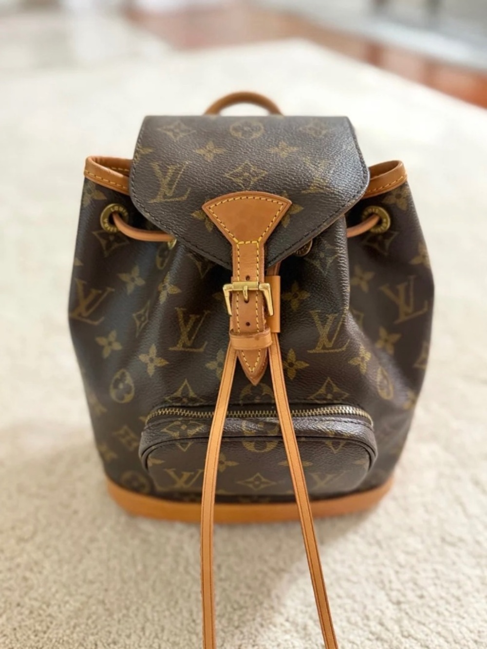 Louis Vuitton Monogram Canvas Montsouris PM Mini Backpack